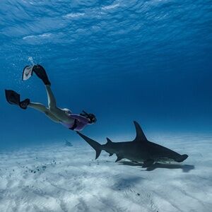 Meet your Posher, Jacqui